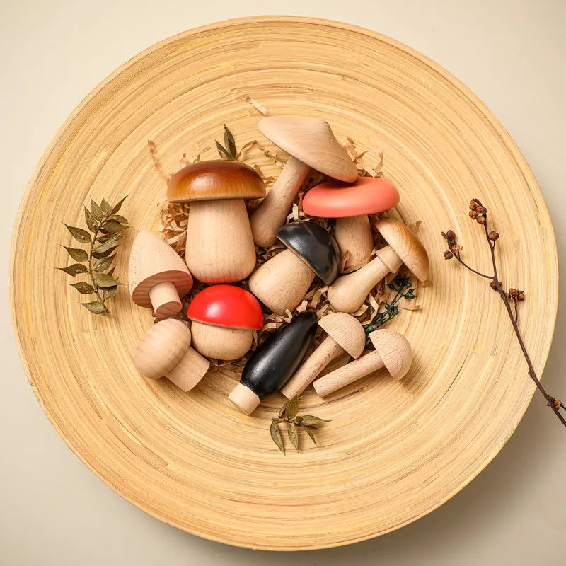 Jeu d’eveil Champignon - Set de Champignon Bois - Jeu D’eveil bébé