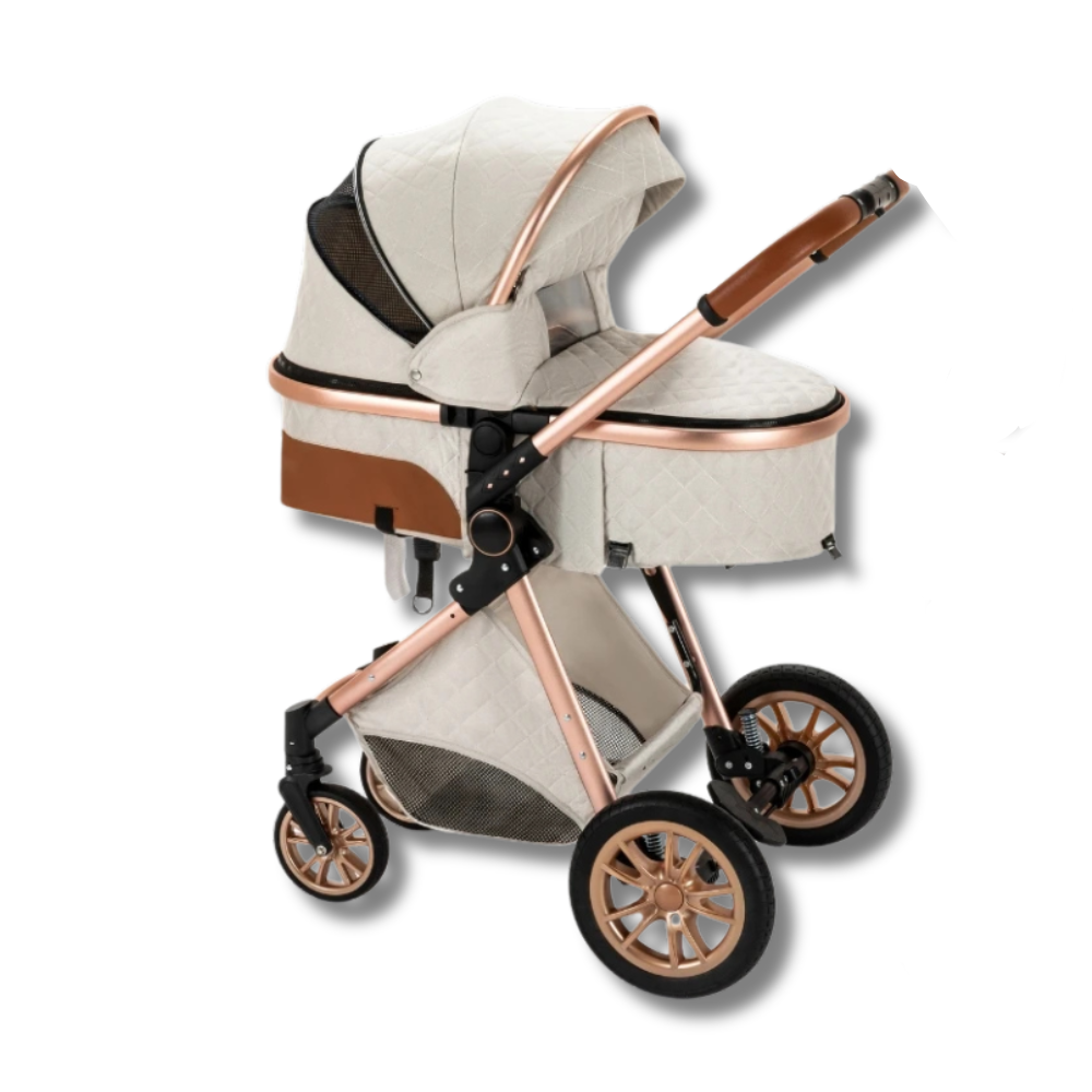 3 in 1 Elegance stroller
