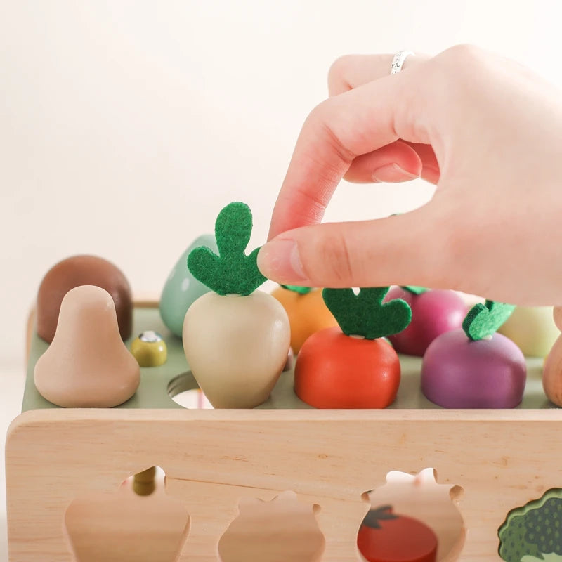 Jouet Fruit et Légume - Fruit et Légumes